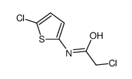 2-chloro-N-(5-chlorothiophen-2-yl)acetamide Structure