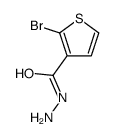 2-bromothiophene-3-carbohydrazide Structure