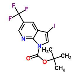 tert-Butyl 3-iodo-5-(trifluoromethyl)-1H-pyrrolo-[2,3-b]pyridine-1-carboxylate图片