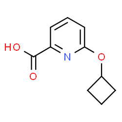 6-Cyclobutoxypyridine-2-carboxylic acid structure