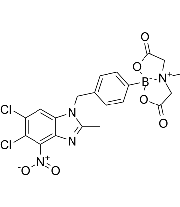 TH 1217 Structure