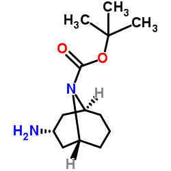 tert-butyl endo-3-amino-9-azabicyclo[3.3.1]nonane-9-carboxylate structure