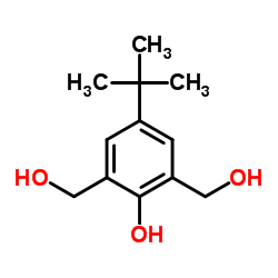 2,6-bis(hydroxymethyl)-4-tert-butylphenol structure