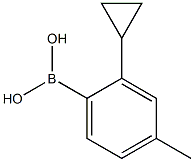 (2-cyclopropyl-4-methylphenyl)boronic acid picture