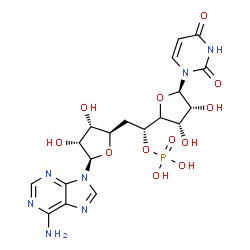 adenylyl-(3'-5')-uridine 5'-phosphate结构式