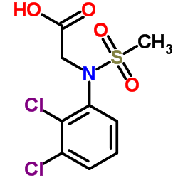 N-(2,3-Dichlorophenyl)-N-(methylsulfonyl)glycine结构式