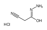 2-cyanoacetohydrazide,hydrochloride Structure
