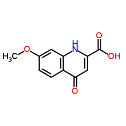7-Methoxy-4-oxo-1,4-dihydroquinoline-2-carboxylic acid structure