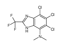 5,6,7-trichloro-N,N-dimethyl-2-(trifluoromethyl)-3H-benzimidazol-4-amine Structure