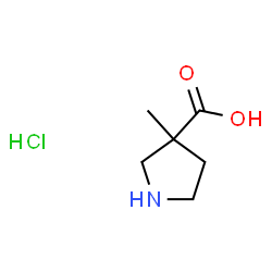 3-Methylpyrrolidine-3-carboxylic acid hydrochloride picture