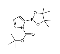 tert-Butyl 5-(4,4,5,5-tetramethyl-1,3,2-dioxaborolan-2-yl)-1H-pyrazole-1-carboxylate picture