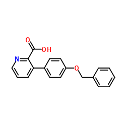3-[4-(Benzyloxy)phenyl]-2-pyridinecarboxylic acid Structure
