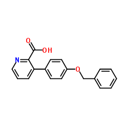 3-[4-(Benzyloxy)phenyl]-2-pyridinecarboxylic acid结构式