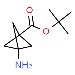 tert-butyl 3-aminobicyclo[1.1.1]pentane-1-carboxylate structure