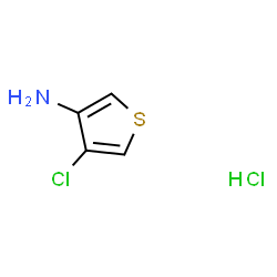 4-氯噻吩-3-胺盐酸盐结构式