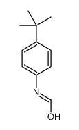 N-(4-TERT-BUTYL-PHENYL)-FORMAMIDE结构式