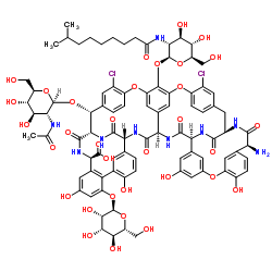 Teichomycin A2 factor 2 Structure
