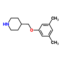 4-[(3,5-Dimethylphenoxy)methyl]piperidine结构式