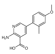 2-amino-5-(4-methoxy-2-methylphenyl)pyridine-3-carboxylic acid Structure