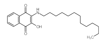 1,4-Naphthalenedione,2-hydroxy-3-(tridecylamino)-结构式