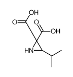 3,3-Oxaziridinedicarboxylicacid,2-(1-methylethyl)-(9CI) structure