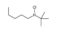 N-tert-butyl-N-chloropentan-1-amine结构式