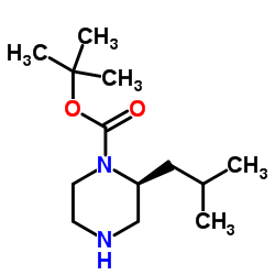 (S)-1-N-Boc-Isobutylpiperazine Structure