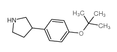 3-(4-叔丁氧基-苯基)-吡咯烷结构式