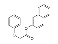 naphthalen-2-yl 2-phenoxyacetate结构式