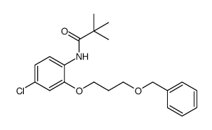 N-(2-[3-(benzyloxy)propoxy]-4-chlorophenyl)-2,2-dimethylpropanamide结构式