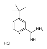 4-(tert-Butyl)picolinimidamide hydrochloride structure