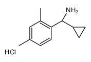 (R)-Cyclopropyl(2,4-dimethylphenyl)Methanamine hydrochloride picture