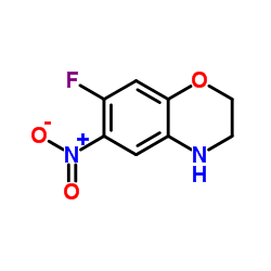 7-Fluoro-6-nitro-3,4-dihydro-2H-1,4-benzoxazine Structure