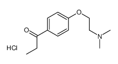 1-[4-[2-(dimethylamino)ethoxy]phenyl]propan-1-one,hydrochloride Structure