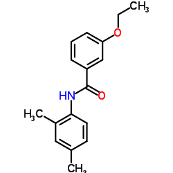 N-(2,4-Dimethylphenyl)-3-ethoxybenzamide Structure