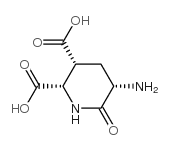 2,3-Piperidinedicarboxylicacid,5-amino-6-oxo-,[2S-(2alpha,3alpha,5alpha)]-(9CI)结构式
