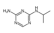 N2-isopropyl-[1,3,5]triazine-2,4-diyldiamine结构式