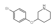 3-(4-bromophenoxy)piperidine结构式