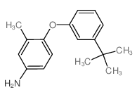 4-[3-(tert-Butyl)phenoxy]-3-methylphenylamine Structure