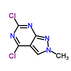 4,6-二氯-2-甲基-2H-吡唑并[3,4-d]嘧啶结构式