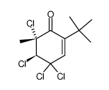 trans-2-t-butyl-4,4,5,6-tetrachloro-6-methylcyclohex-2-enone Structure