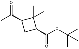 (1R,3S)-3-乙酰基-2,2-二甲基环丁烷-1-羧酸叔丁酯结构式