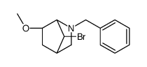 2-BENZYL-7-BROMO-6-METHOXY-2-AZABICYCLO[2.2.1]HEPTANE Structure