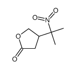 4-(1-METHYL-1-NITROETHYL)TETRAHYDROFURAN-2-ONE structure