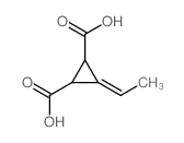 1,2-Cyclopropanedicarboxylicacid, 3-ethylidene-, trans- (8CI,9CI)结构式