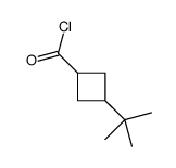 Cyclobutanecarbonyl chloride, 3-tert-butyl-, cis- (8CI) structure