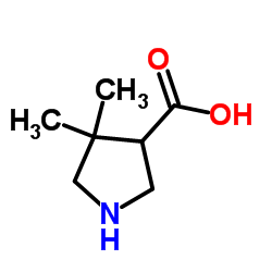 4,4-Dimethyl-3-pyrrolidinecarboxylic acid Structure