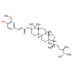 24-Methylene cycloartanyl ferulate picture