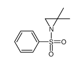 1-(benzenesulfonyl)-2,2-dimethylaziridine Structure