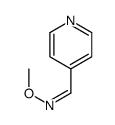 isonicotinaldehyde O-methyloxime picture